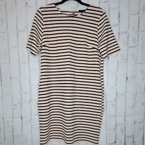Dorothy Perkins Dress NWT